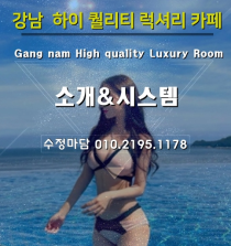 룸/풀싸롱-강남 강남 달토 수위터치룸(예쁜수정실장) 야맵